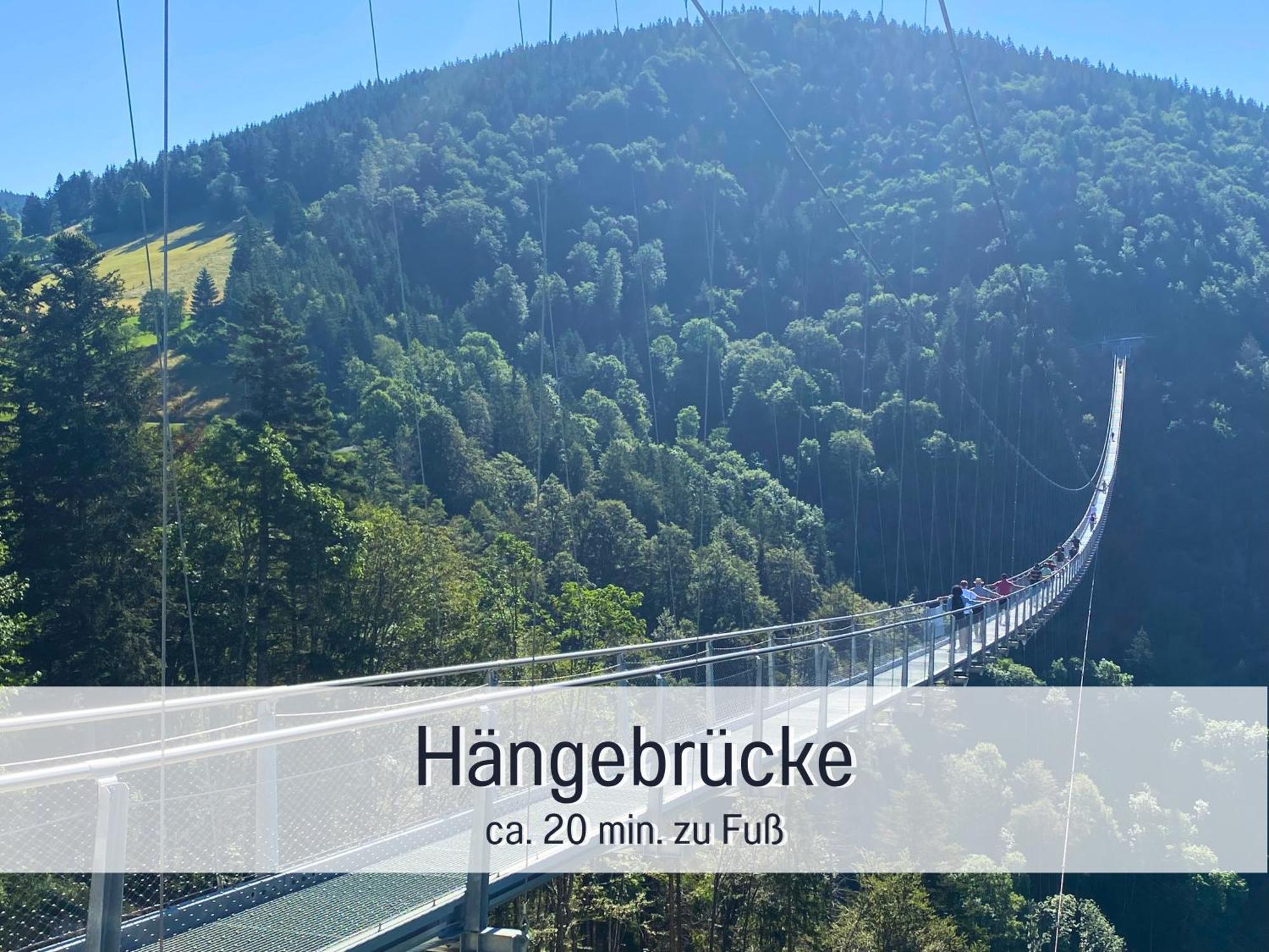 Herzgruen Direkt An Traumhaften Wanderwegen Balkon Mit Toller Aussicht Sauna Im Haus Tiefgarage E-Ladestation 토트나우베르크 외부 사진